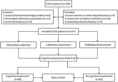 Correlation between neutrophil/lymphocyte ratio and cognitive impairment in cerebral small vessel disease patients: A retrospective study